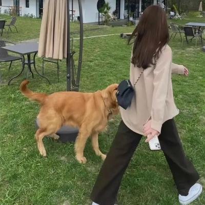 同捞同煲粤语